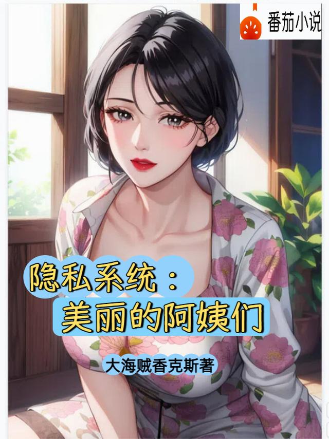 隐私系统：美丽的阿姨们