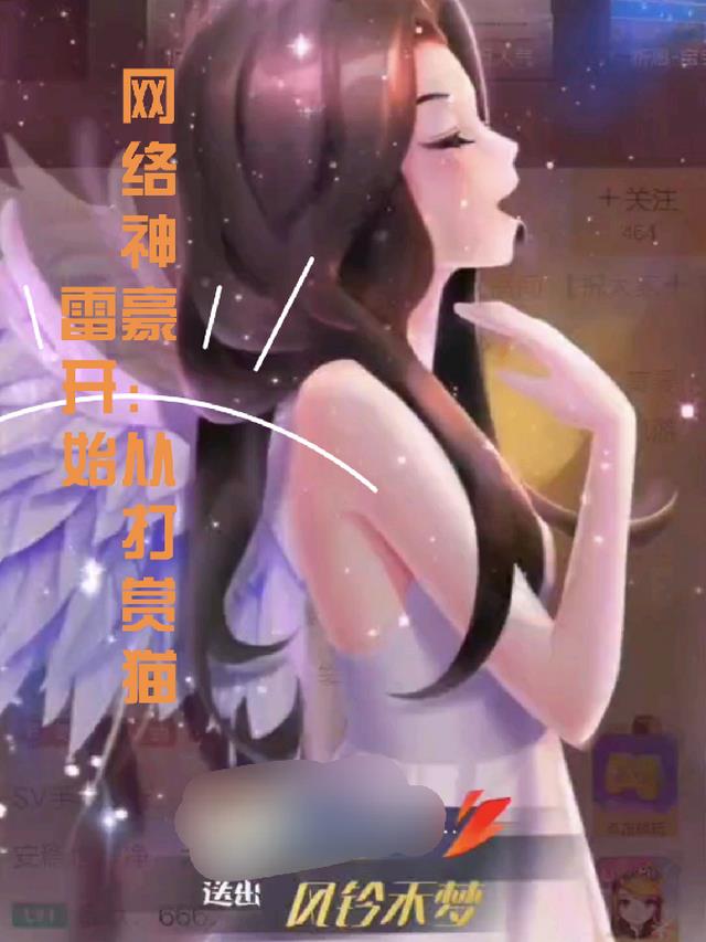 网络神豪：从打赏猫雷开始