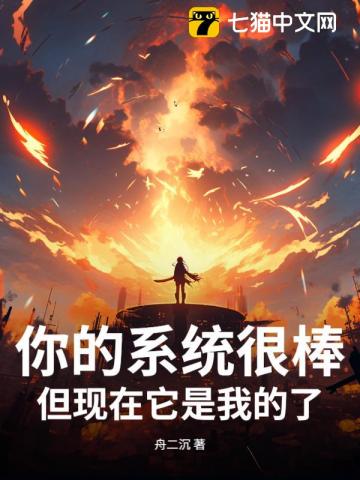 你的系统很棒，但现在它是我的了