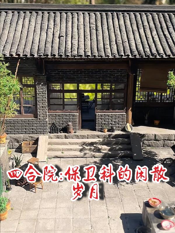 四合院保卫科的闲散岁月