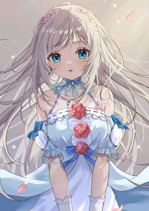 致神奈川的春