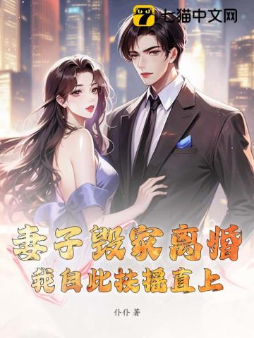 妻子毁家离婚，我自此扶摇直上！