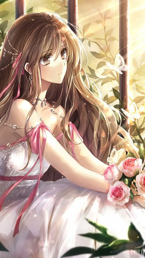 觅欢
