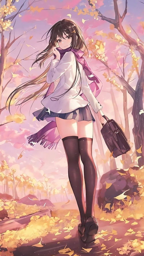 绯绯绯绯
