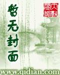 潜规则教皇