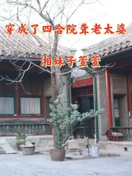 穿成了四合院聋老太婆