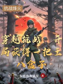 穿越抗战：开局获得一把王八盒子