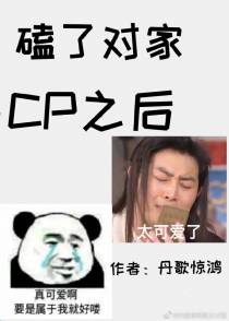 磕了对家CP之后